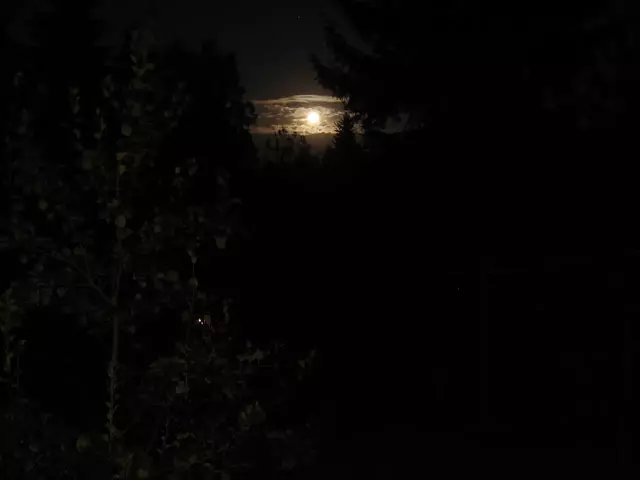 Ночь. Луна.