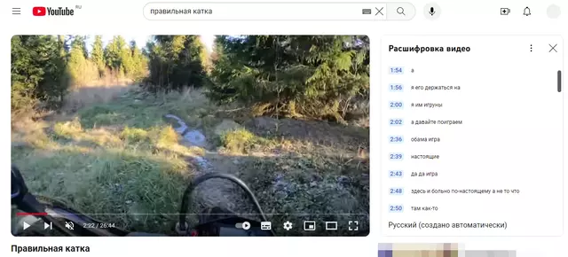 Расшифровка видео от Youtube. Скриншот.