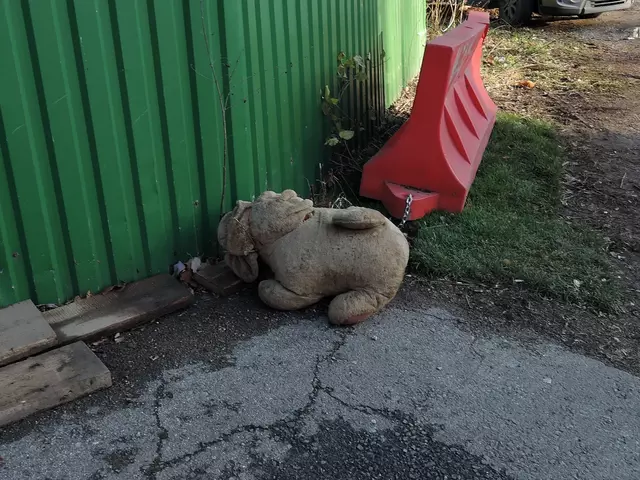 снос гаражей в гольяново