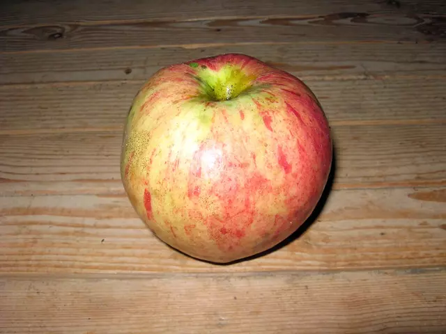 Яблоко, сорт коричное новое