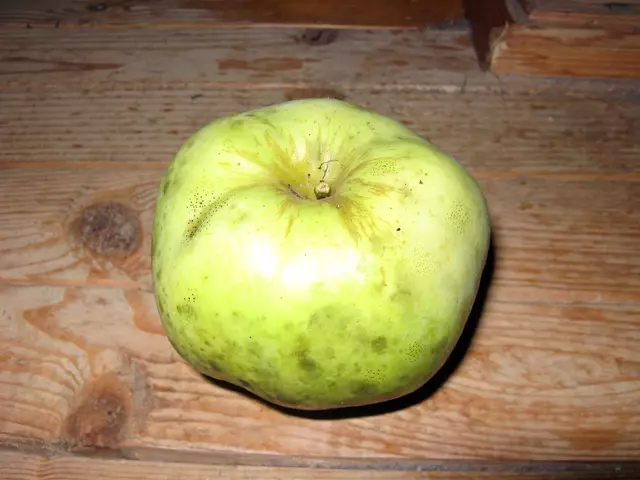 Яблоко, сорт антоновка