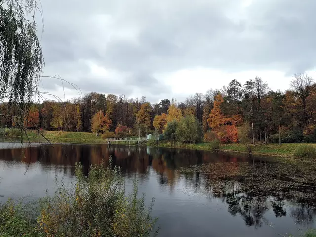 Бабаевский пруд