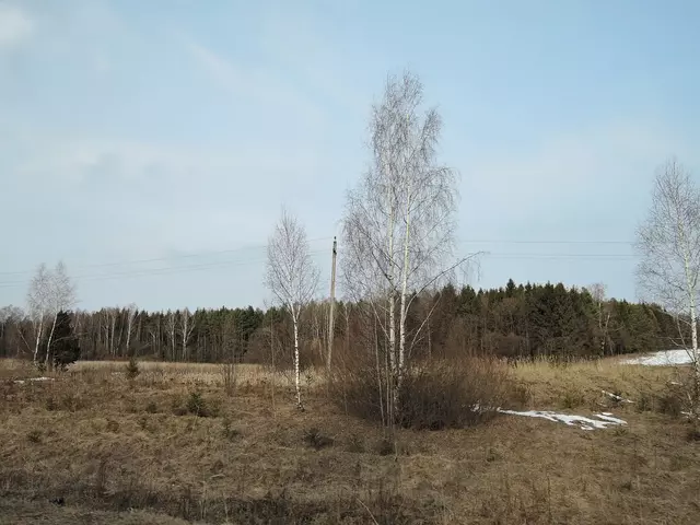 Весенний пейзаж. Напоследок.