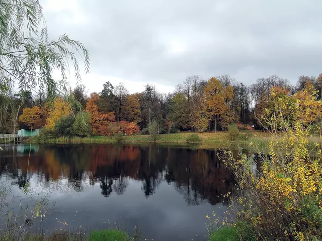 Бабаевский пруд