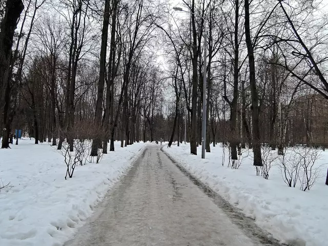 Парк героев Первой мировой войны