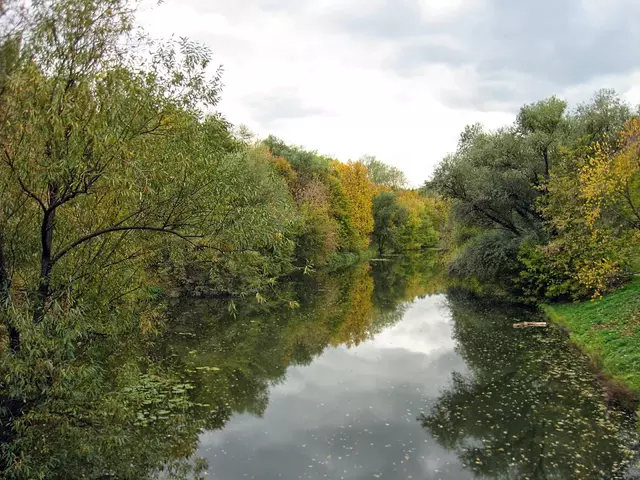 Серебряно-Виноградный пруд в Измайлово