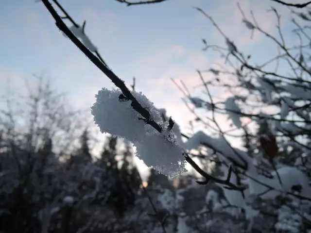 рассвет первозимье 2015