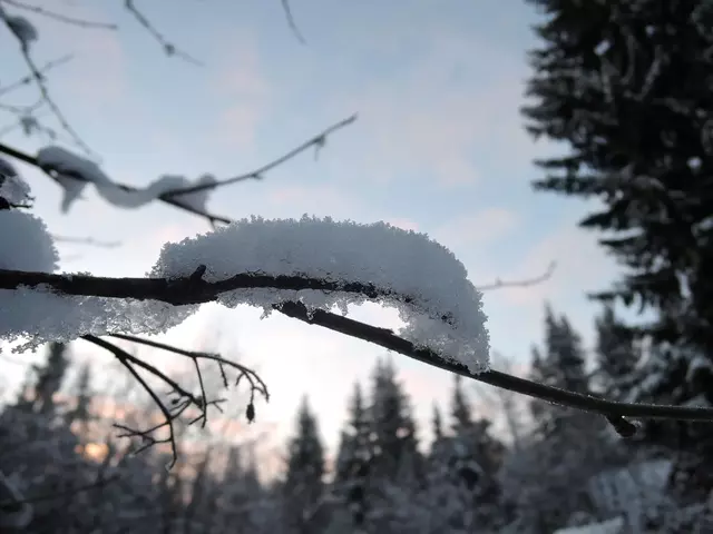 рассвет первозимье 2015