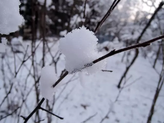 рассвет первозимье 2015