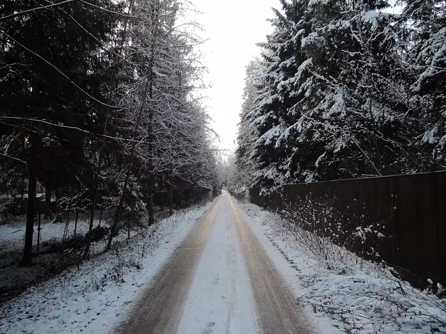 рассвет первозимье 2015