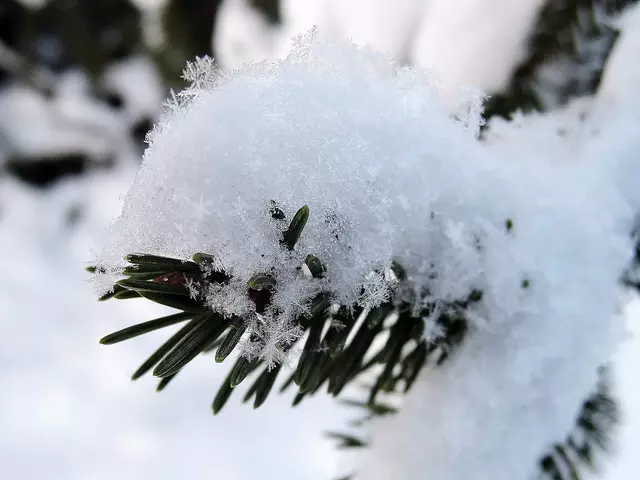 Снежинки крупным планом