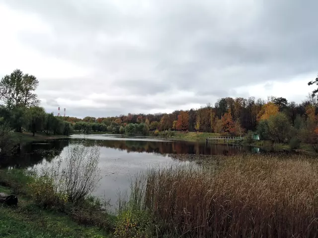 Золотая осень. Бабаевский пруд и Лосиный остров.