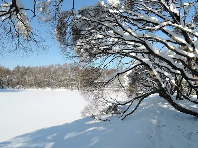 Измайловский парк. Совхозный пруд.