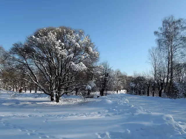 Яндекс.Фотки всё