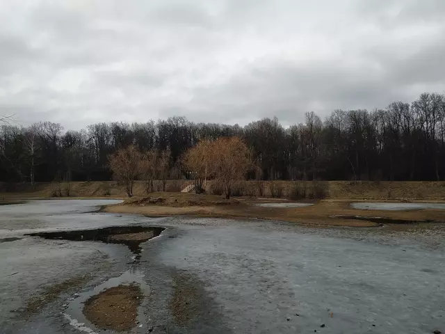 Обмеление Бабаевского пруда