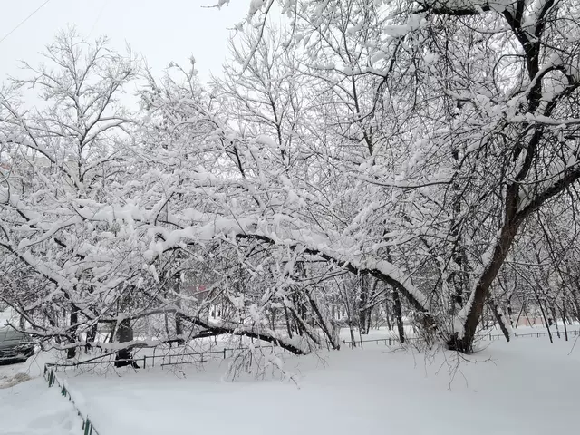 Гольяново. Снегопад - 2018.