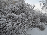 После снегопада Гольяново