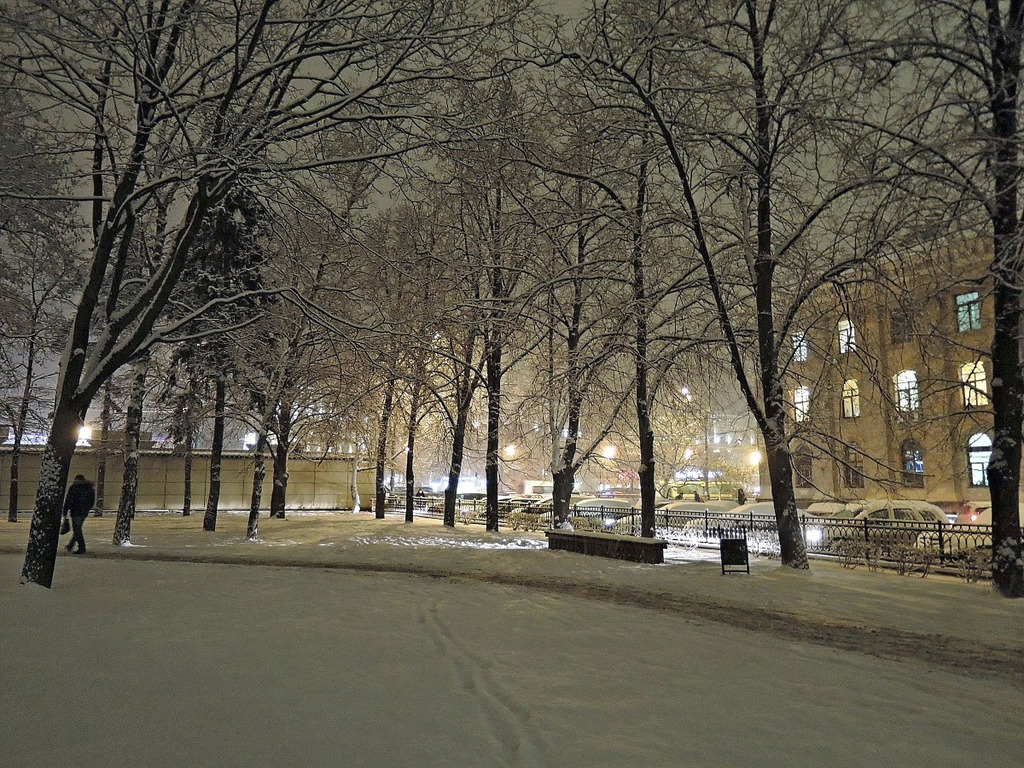 зимний вечер москва аэропорт