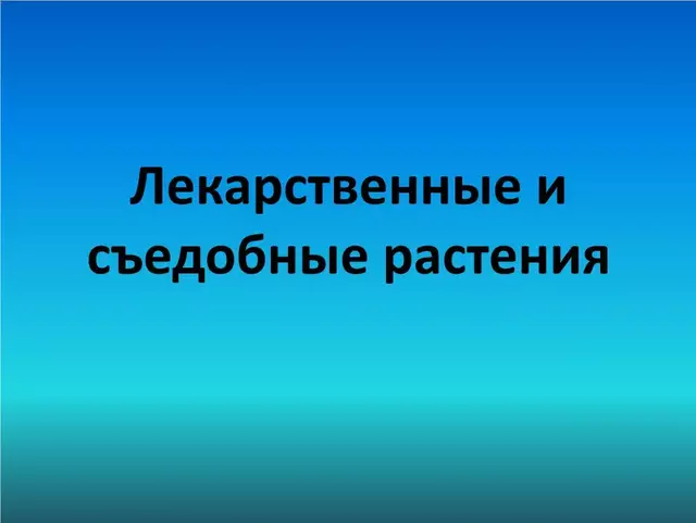 Лекарственные и съедобные растения презентация